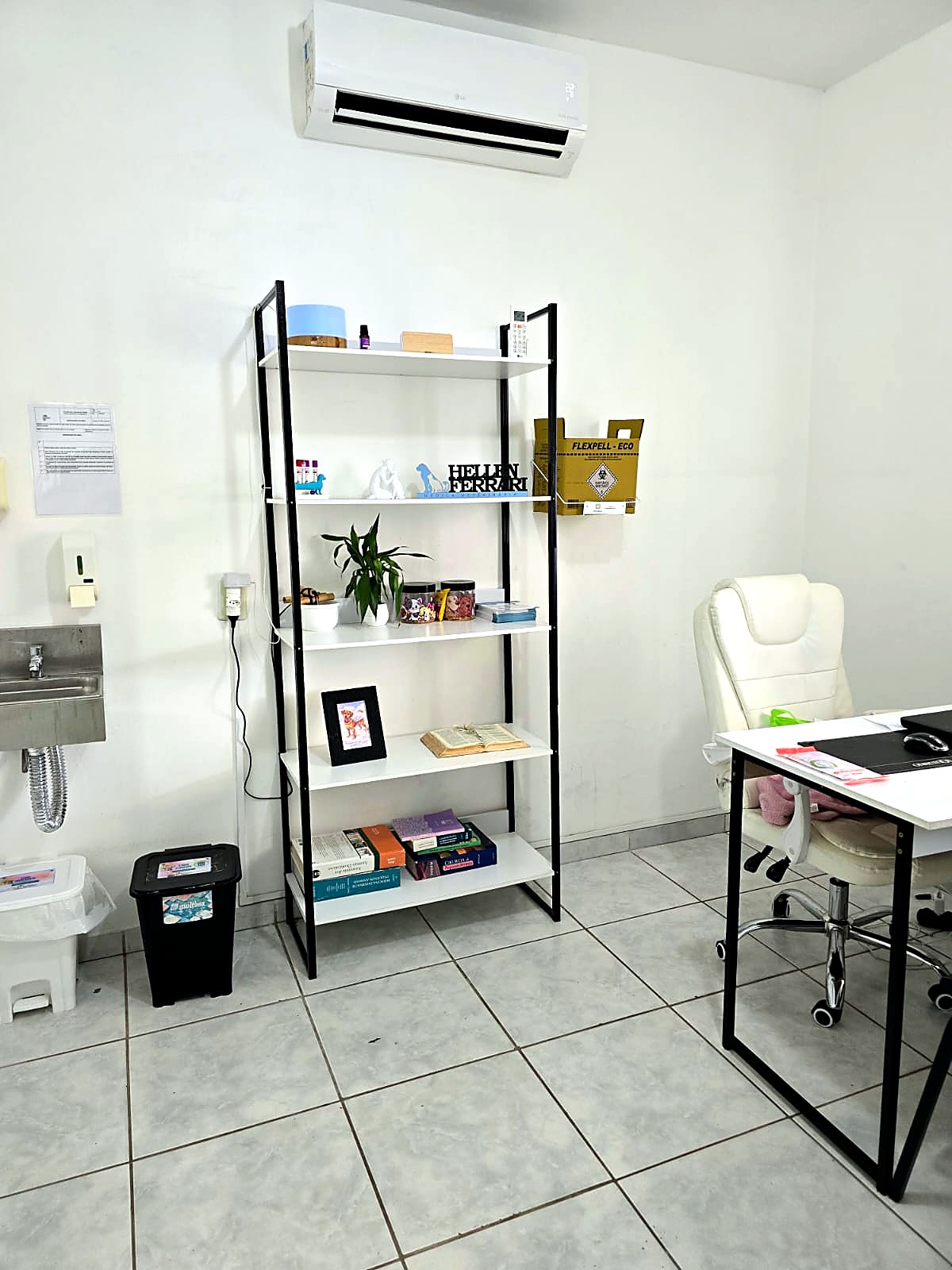 Consultório da Vet Bandeiras