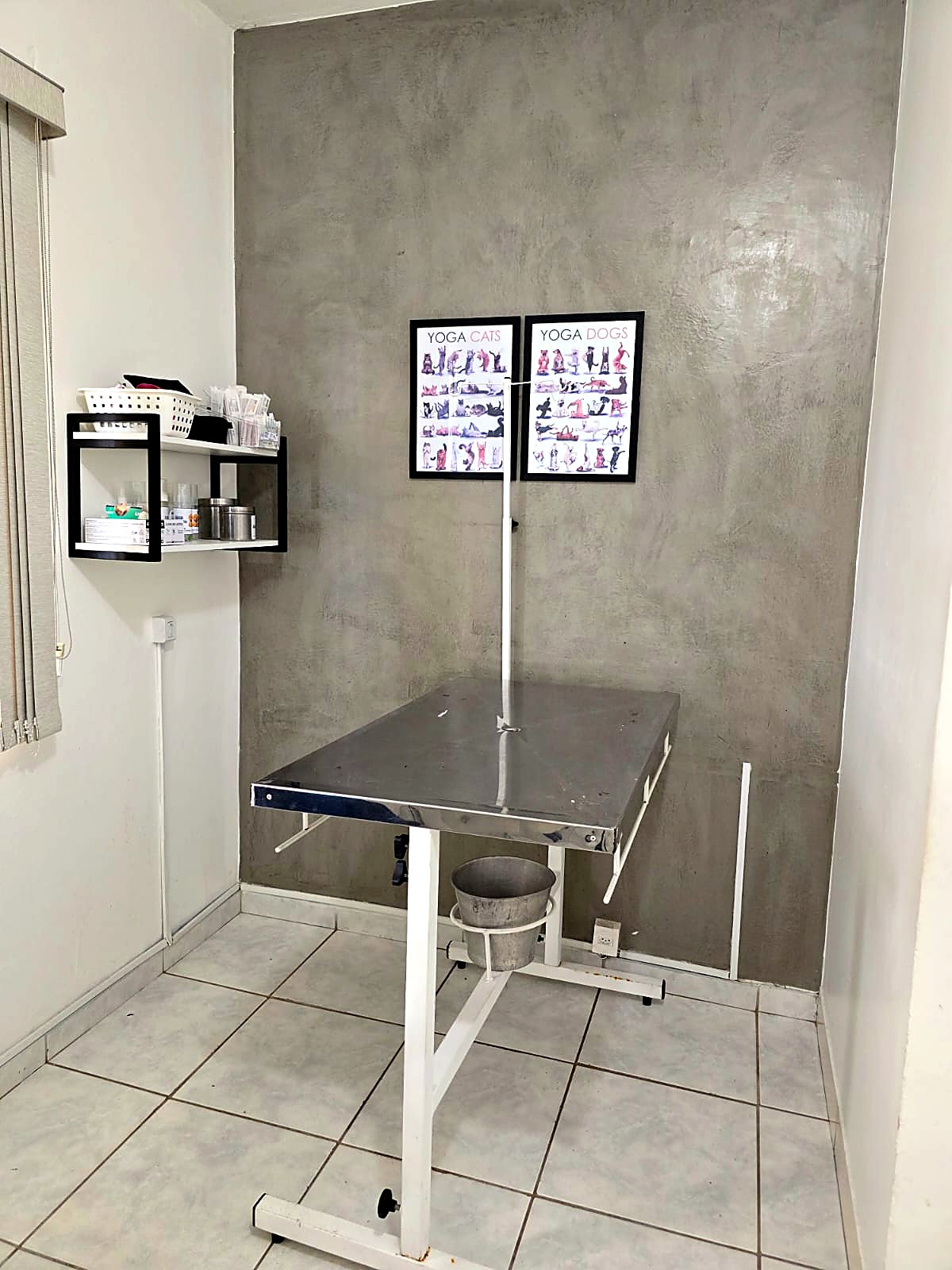 Consultório da Vet Bandeiras, com mesa de exame